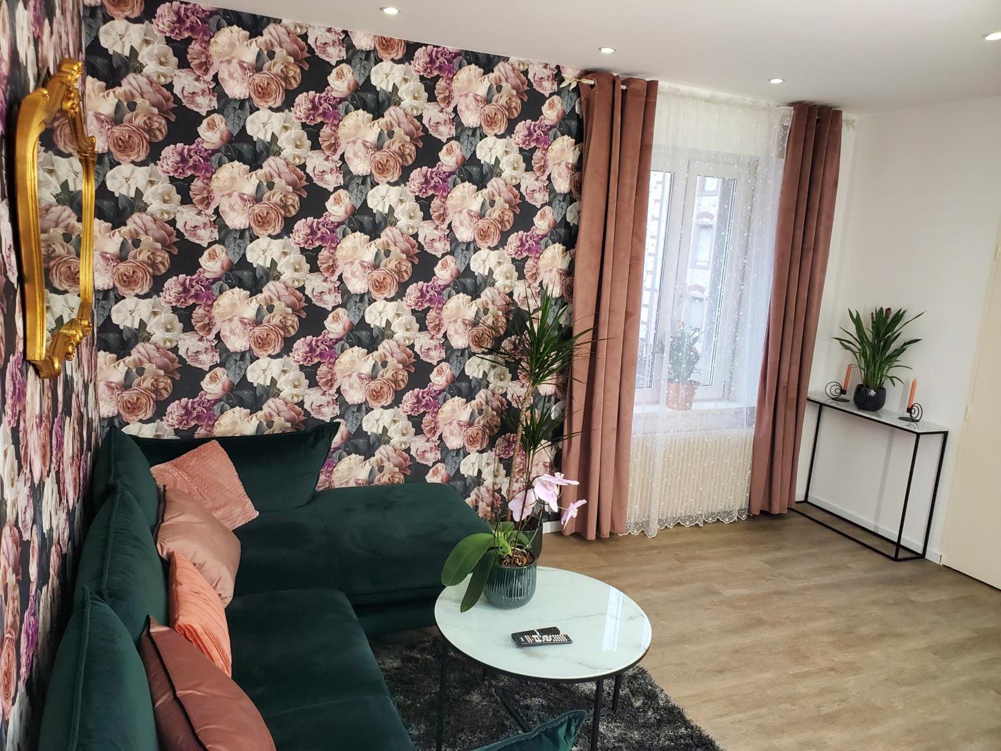 Mirka & Franck Apartment Chic 4 Stars Parking Free كولمار المظهر الخارجي الصورة
