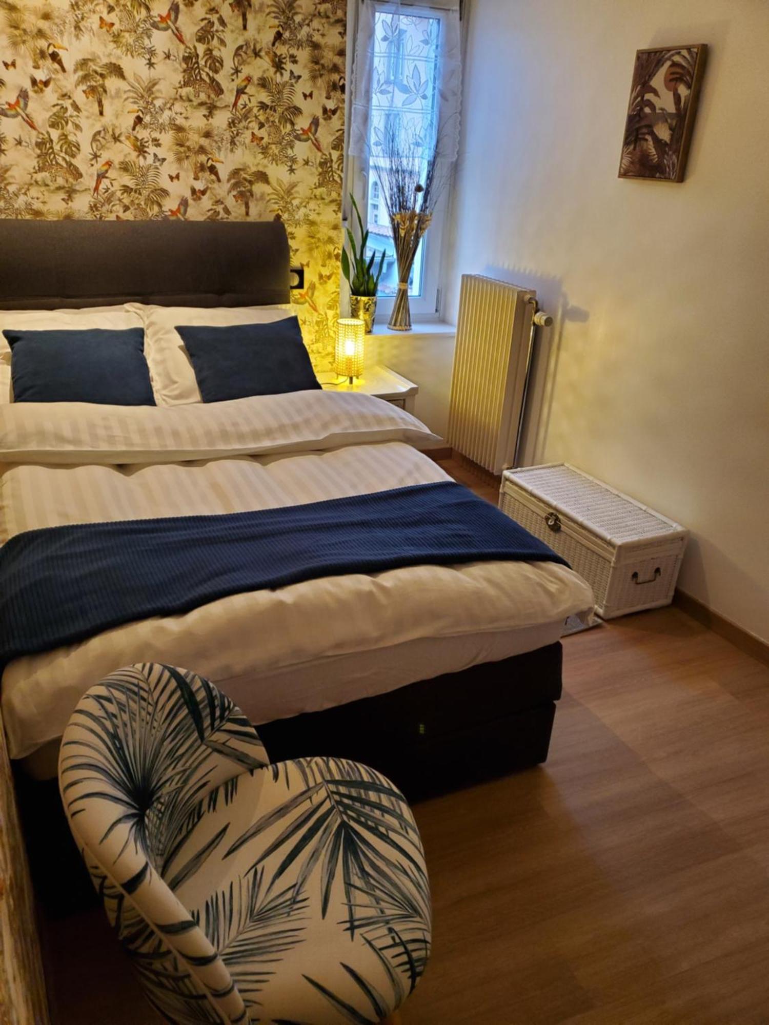 Mirka & Franck Apartment Chic 4 Stars Parking Free كولمار المظهر الخارجي الصورة