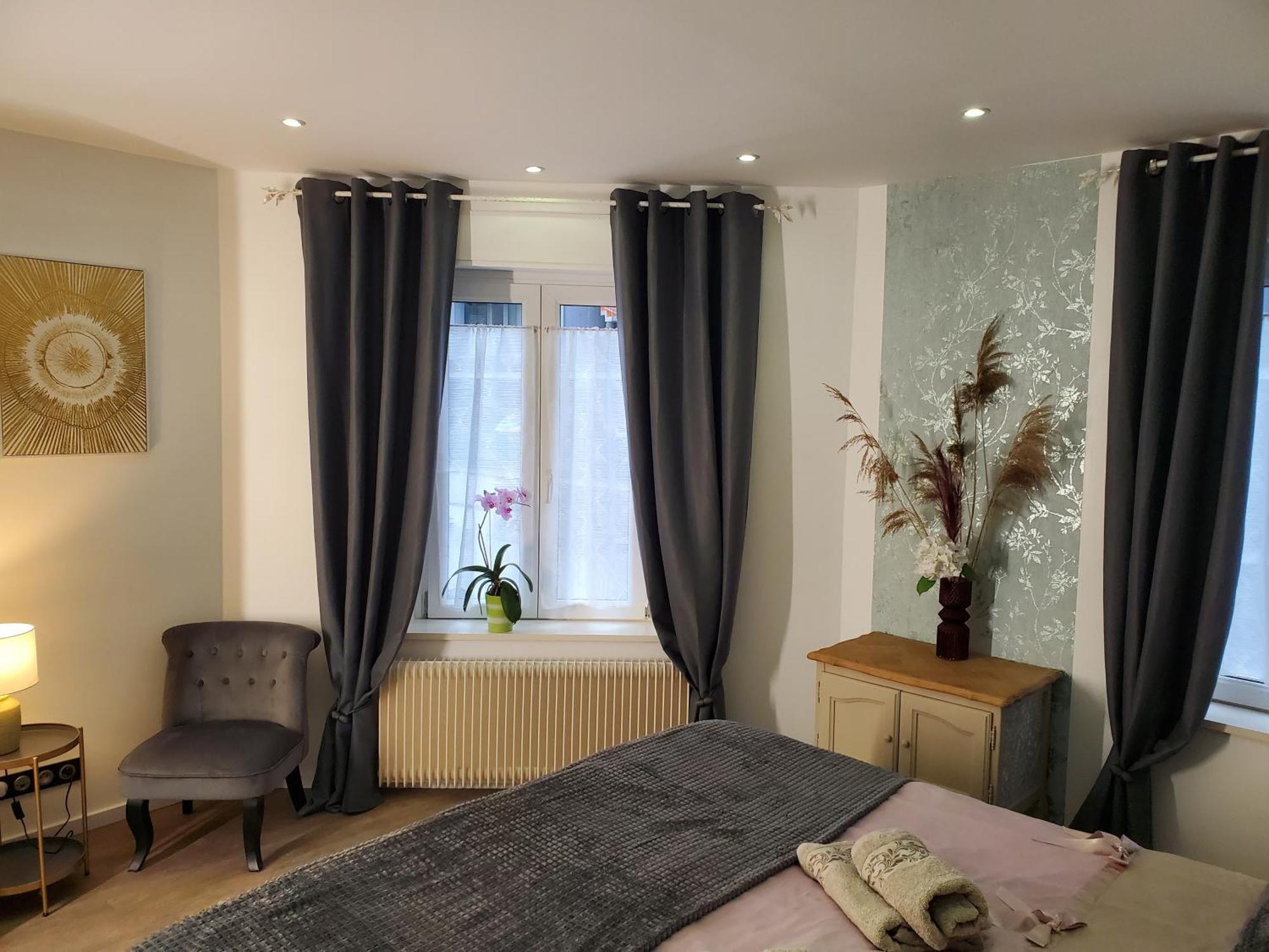 Mirka & Franck Apartment Chic 4 Stars Parking Free كولمار المظهر الخارجي الصورة